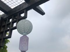 -大湾区中央湿地公园