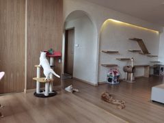 -猫腻·猫咖·撸猫馆(星光大道店)