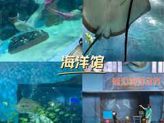 -苏州海洋馆