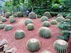 -呀路古热带植物园
