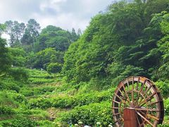 -鼓岭旅游度假区