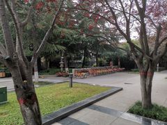 -木塔寺遗址生态公园