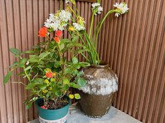 -原田新料理(1912店)