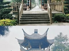 -铁山坪森林公园