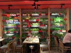 -瓦城泰国料理(芮欧百货店)