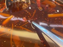 -广州逸林假日酒店·四季桃源中餐厅(白云山风景区店)