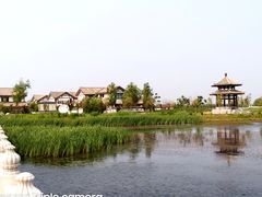 -呼兰河口湿地公园