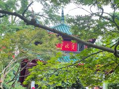 -岳麓山风景名胜区