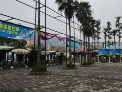 -重庆海昌加勒比海水世界