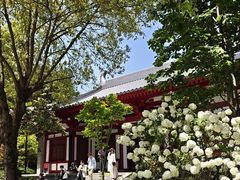 -大慈恩寺(大雁塔)