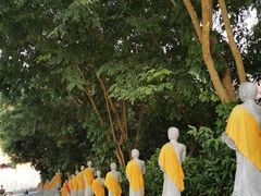 -西双版纳勐泐文化旅游区