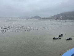 -枸杞岛
