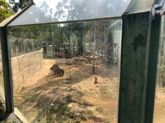 -泉州海丝野生动物世界