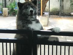 -TrueLove @ Neverland (Husky Cafe)