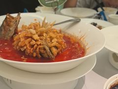 -眉州东坡·熊猫主题餐厅(枫蓝店)