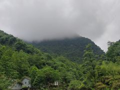 -龙窝子