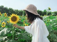 -广东花都香草世界旅游度假区