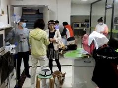 -德元·美联众合24小时动物医院(总院)