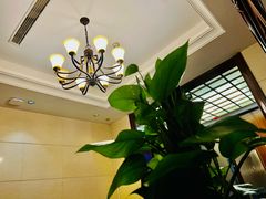 -梦都海鲜酒家(万达广场江桥店)