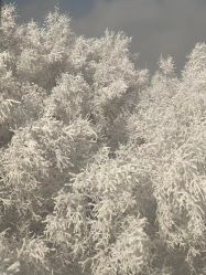 -HEYAN荷妍专业脱毛连锁机构