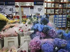 -山姆会员商店(上海浦东店)