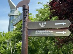 -盐城丹顶鹤湿地生态旅游区