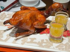 -大鸽饭(动物园店)