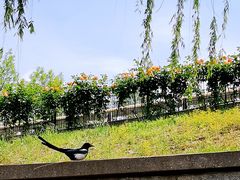 -玲珑塔公园