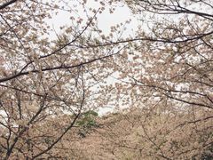 -苏州上方山国家森林公园