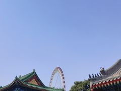 -天津大悲禅院