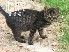 -柳鹭田园区