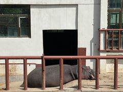 -青藏高原野生动物园