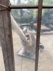 -萌宠亲子动物乐园(槐房万达店)