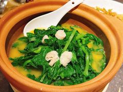 竹荪豆汤豌豆尖-渔语鱼新川菜Bistro(万象天地店)