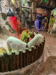 -宝燕乐园(闵行旗舰店)