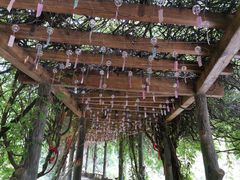 -雪山彩虹谷景区