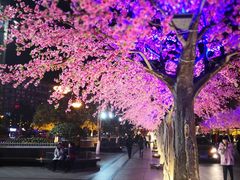 -半秋山西餐厅(沙坪坝店)