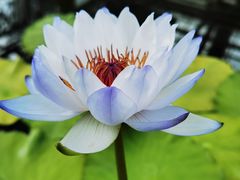 -北京植物园-展览温室