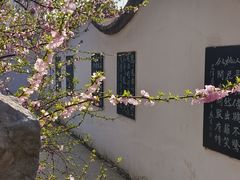 -桃花堤公园