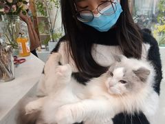 -共舞时光猫咖·狗咖(新街口店)