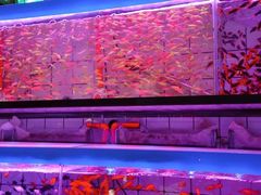 -西宁市人民公园(城西区)