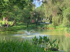 -人民公园(罗湖区)