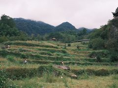 -石台牯牛降景区