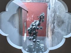 -故宫冰窖餐厅