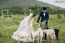 -花漾摄影优选工作室(东莞原创作品店)