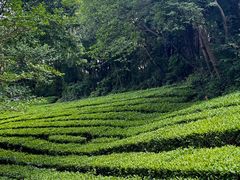 -敬亭山风景名胜区