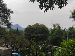 -南山植物园