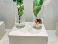 -广东中医药博物馆