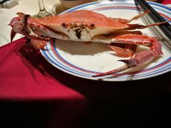 -开海·红岛海鲜虾水饺(石老人店)
