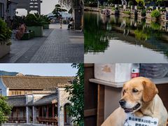 -慈城古县城景区